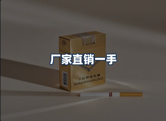 专业团队办公环境
